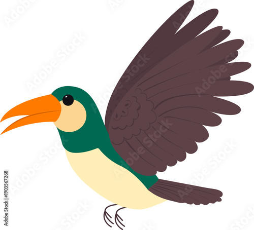 Exotic toucan bird flying with open wings. Colorful tropical bird with orange beak isolated on white background. Jungle wildlife vector illustration