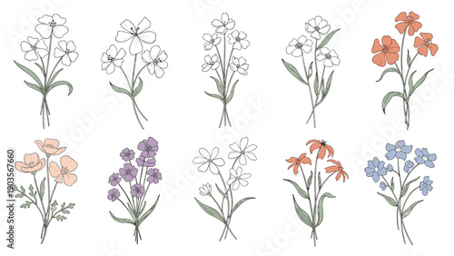 Set of ten delicate floral sketches showing various types of flowers in small hand-drawn bouquets with subtle colors.