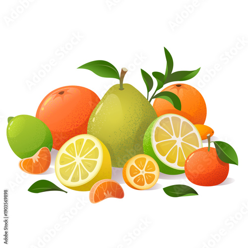 Vibrant illustration of assorted 15 fruits on black background