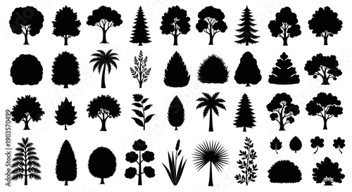 A comprehensive collection of diverse tree and plant silhouettes, showcasing a wide array of natural vegetation forms and botanical elements for design projects