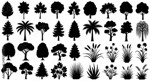 Extensive set of natural plant and tree silhouettes, encompassing a wide array of botanical shapes for creative design, nature illustration, and landscape accents