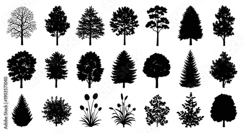 A diverse collection of black silhouettes of various trees and plants, showcasing different species and growth forms for botanical or design purposes
