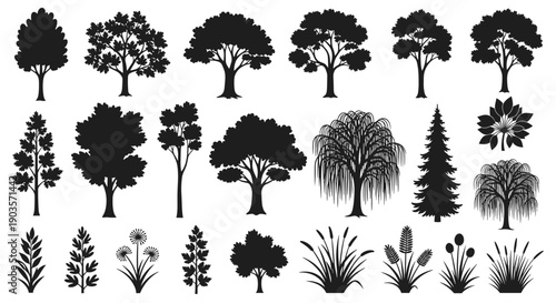 Collection of various tree silhouettes, plants, and grass in black and white, perfect for design projects, nature illustrations, and landscape art