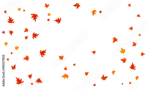 Fényképezés autumn leaves flying or floating isolated on transparent background