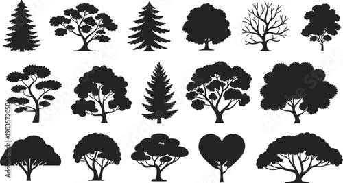 Tree silhouettes collection, various forest and garden tree shapes, black isolated nature icons set on white background illustration