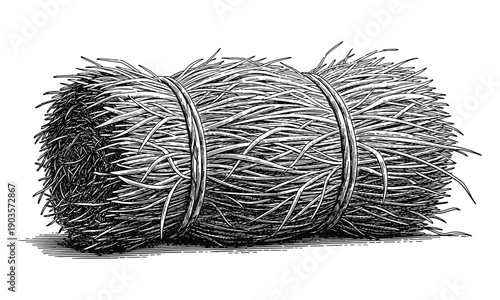 Hay bale vector illustration with tied bundle of dried grass for harvest design