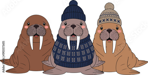 Cute Winter Walrus Outline Illustration Set Cozy Sweaters, Hats, and Arctic Fun