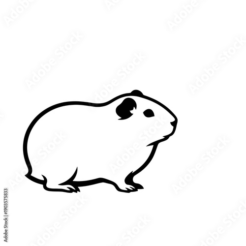 Cute cartoon guinea pig illustration isolated on a white background