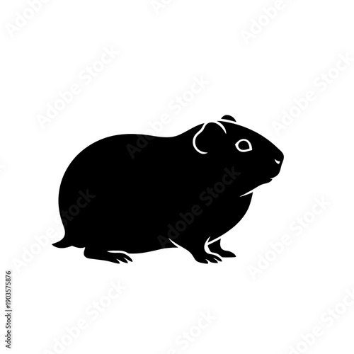 Cute black guinea pig cartoon illustration isolated on white background