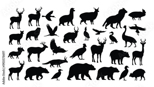 A diverse collection of various animal silhouettes in black and white Vector