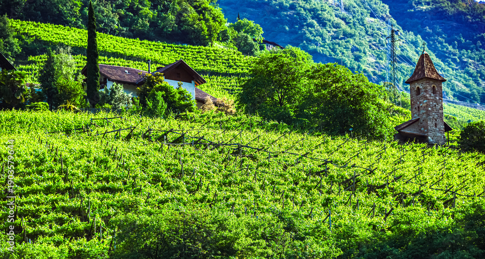 Obraz premium Agricultural landscape view of Trentino-South Tyrol, Italy
