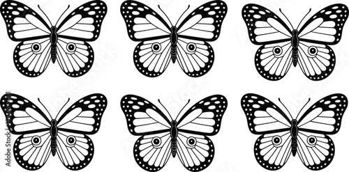 Butterfly silhouettes, symmetrical wings, distinct patterns, black and white design, decorative artwork, nature illustration, insect vector, spotting differences, cad drawing flat vector illustration