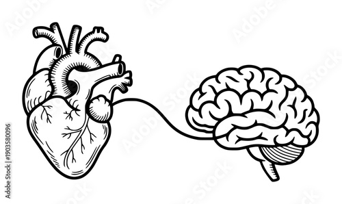 Black and white of human heart connected to human brain anatomy connection medical