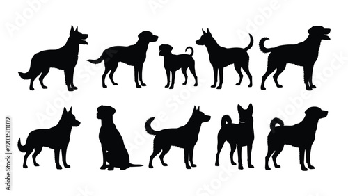 A diverse collection of black silhouette dog illustrations showcasing various breeds Vector
