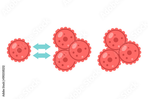 Red circular cells with scalloped edges and internal dots cluster and divide with blue arrows