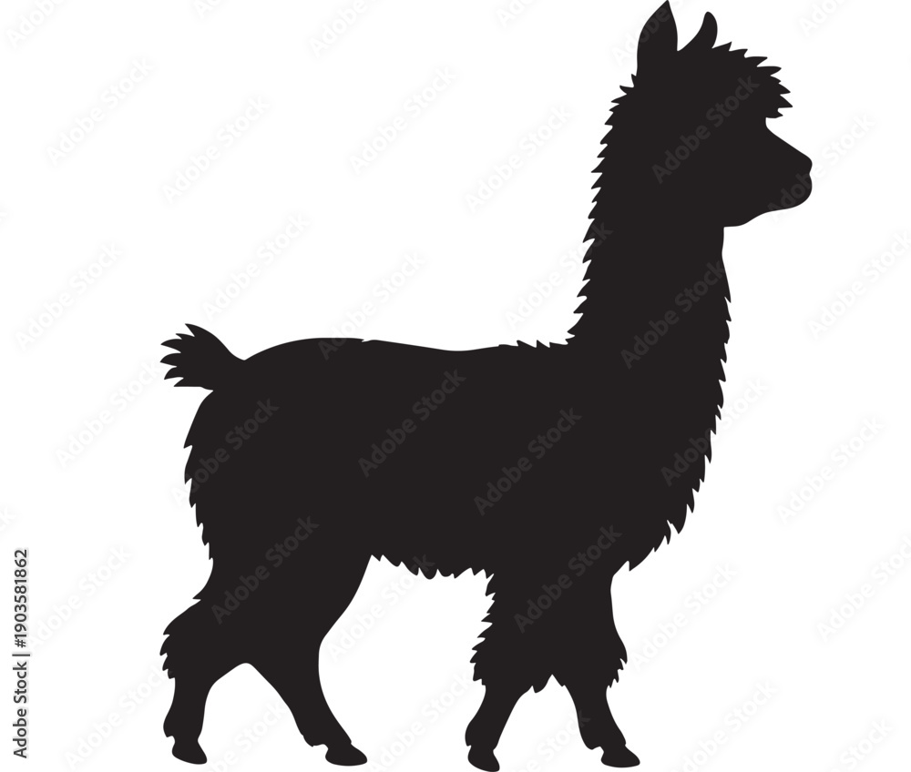 Fototapeta premium Alpaca silhouette standing on transparent background representing south american livestock and wool