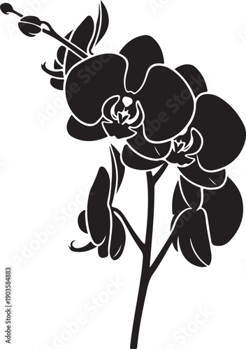 Stylized monochrome orchid flower with leaves and stem on transparent background illustration