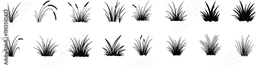  grass and reed icon set. meadow  nature vegetation symbols 