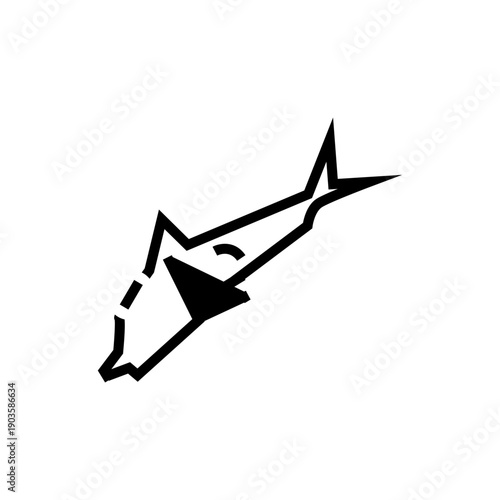 vector illustration of dolphin