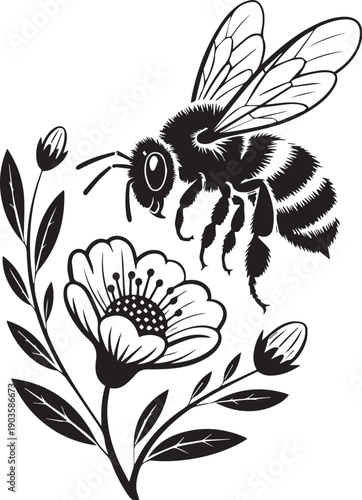 Bee Floral Emblem Vector Set, Honey Bee Silhouettes with Flowers and Botanical Frames
