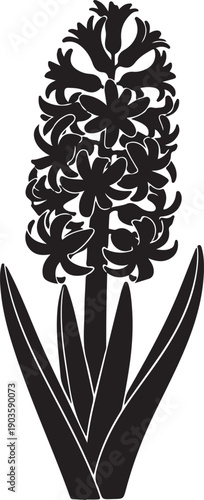 Hyacinth flower silhouette illustration isolated on transparent background for graphic design use