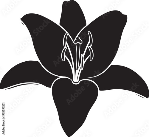 Simple black and white illustration of a stylized flower with large petals and stamens
