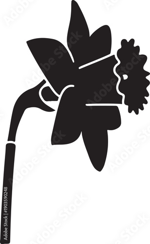 Simple graphic of a daffodil flower with leaves and stem isolated on transparent background