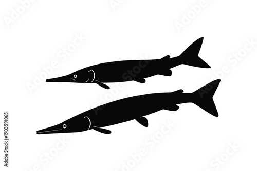 Pair of sleek, long-bodied gar fish depicted in black silhouette on clean white background, swimming