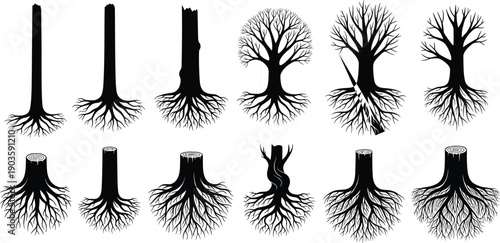 Collection of tree trunk and root silhouettes including cut stumps and bare trees isolated on light background vector illustration set
