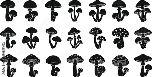 Collection of wild mushroom silhouettes including toadstool forest fungi and botanical caps isolated on light background for nature design vector illustration
