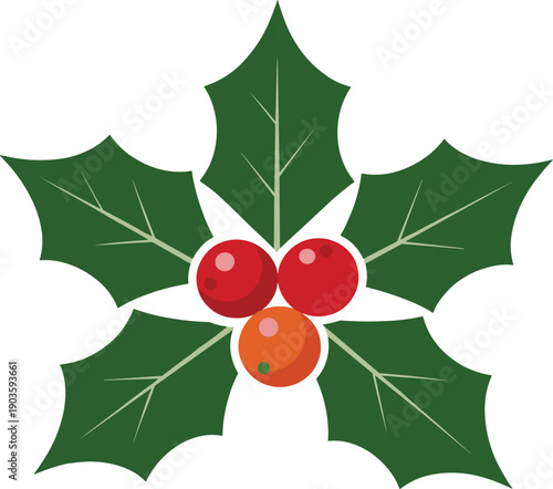Christmas holly berry illustration featuring green leaves and red berries, festive vector graphic ideal for holiday decorations, greeting cards, seasonal branding, and winter design projects