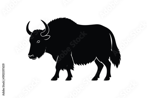 Yak silhouette isolated on white background black highland cattle animal icon for livestock or nature design