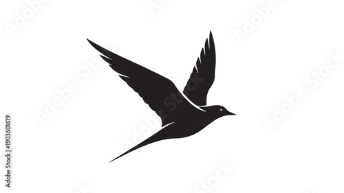 Black Bird Flying in Air