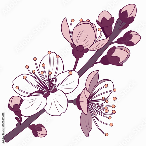 A beautiful bouquet of pink and white flowers with delicate petals and green leaves