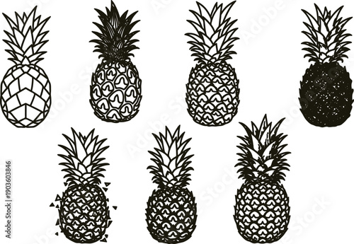 Set of various pineapple illustrations in different line art styles and patterns on white background