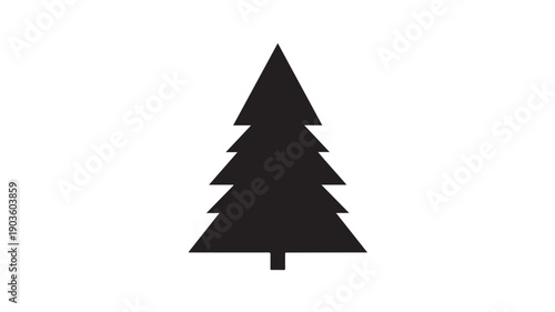 Black Pine Tree Silhouette Isolated on White Background