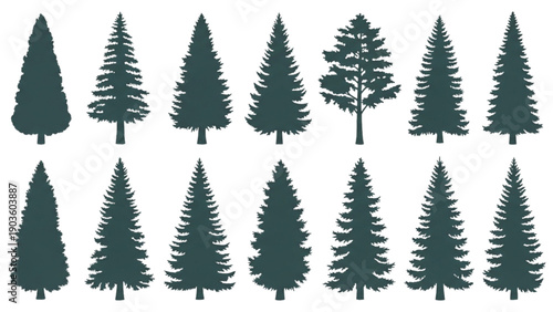 Collection of various dark green pine trees silhouettes arranged in a grid on a clean white background from a straightforward viewpoint