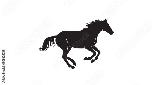 Black Horse Running on White Background Silhouette