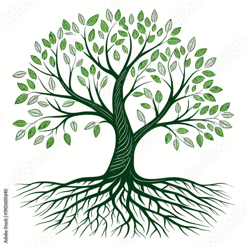 A majestic tree with a sprawling root system and lush green foliage.