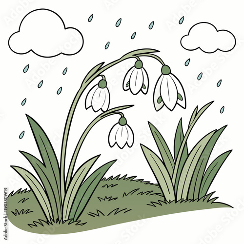 White flowers blooming under a clear umbrella in a garden with raindrops and clouds.