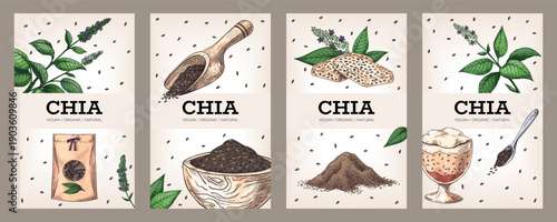 Chia background. Product posters collection. Plants and grains in wooden spoon and bowl. Vegan superfood, diet products. Seeds for packaging. Healthy desserts flyer. Vector illustration set