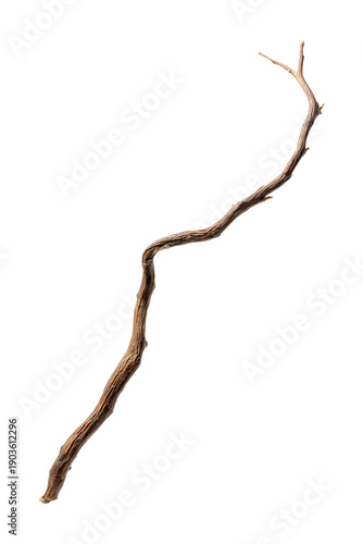 A beautifully twisted branch showcasing unique textures, perfect for nature-themed projects and organic designs.