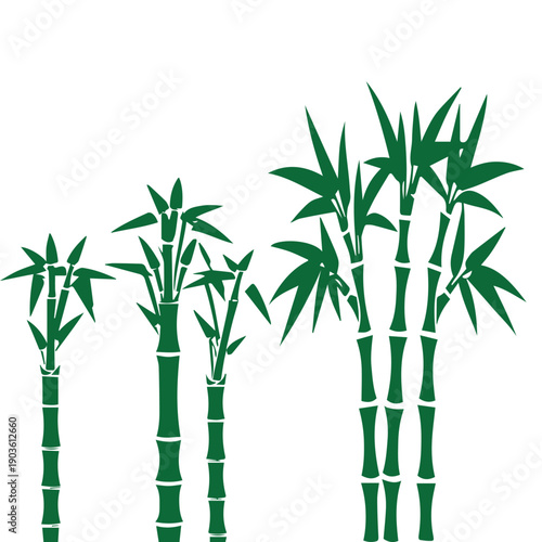 A group of bamboo plants with varying heights and leaf densities