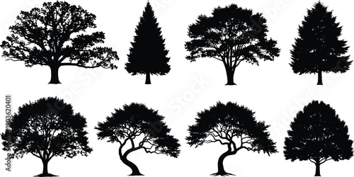 Black tree silhouettes set, diverse forest species and shapes, botanical nature illustration collection isolated on white background for design