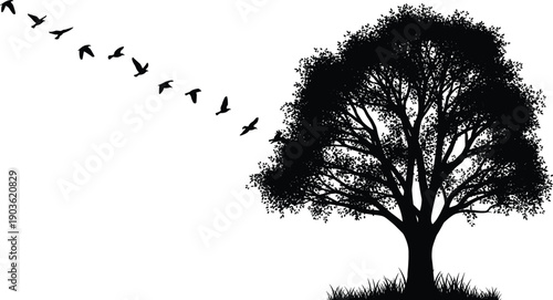 Lonely tree silhouette with flying birds isolated on white background, peaceful nature illustration, minimal black botanical landscape artwork design concept