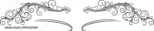 Elegant symmetrical black and white decorative swirls and flourishes