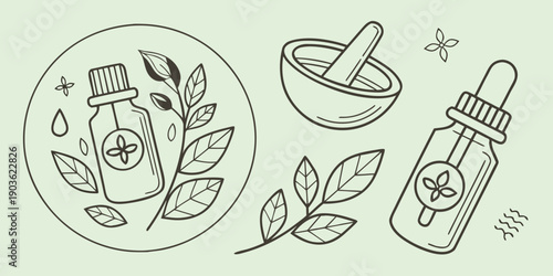 Essential oils and their various applications in aromatherapy and natural healing