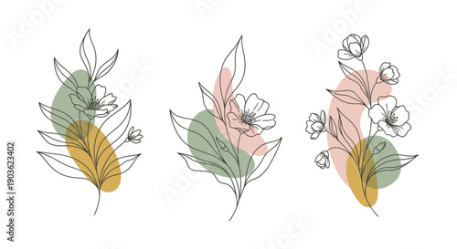 Minimalist floral line art with abstract color shapes