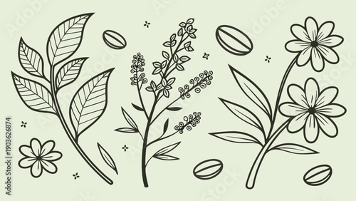 A detailed illustration of various plants and their leaves