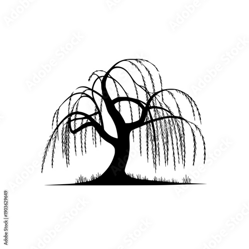 Serene weeping willow tree in a peaceful landscape